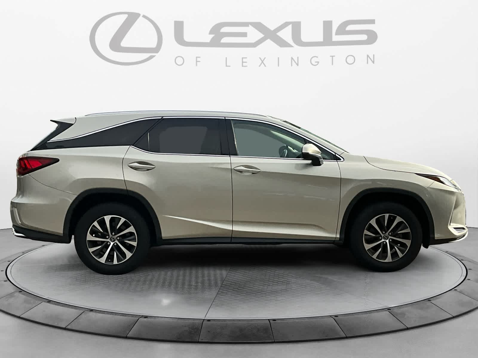 2021 Lexus RX  6