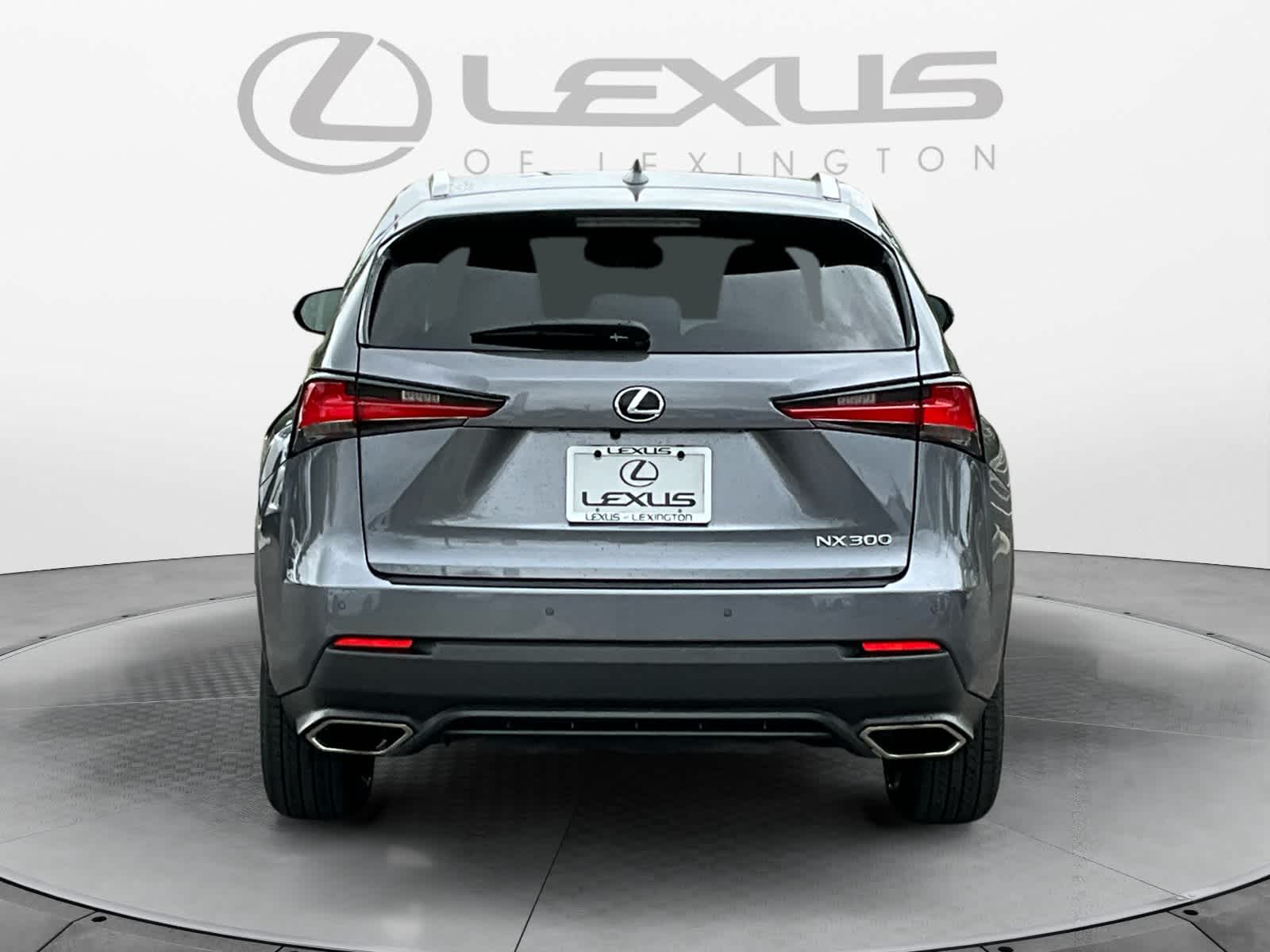 2019 Lexus NX  4