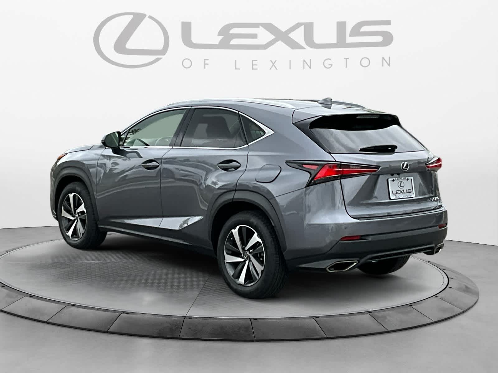 2019 Lexus NX  3