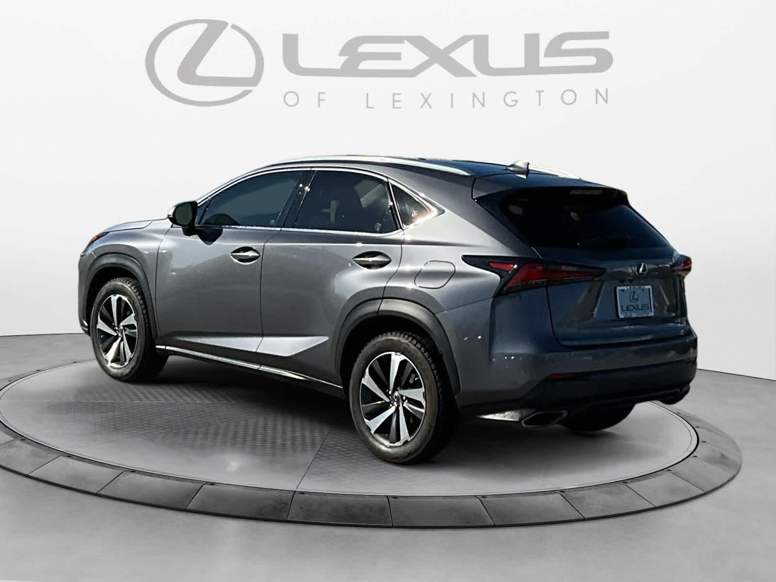 2019 Lexus NX  3