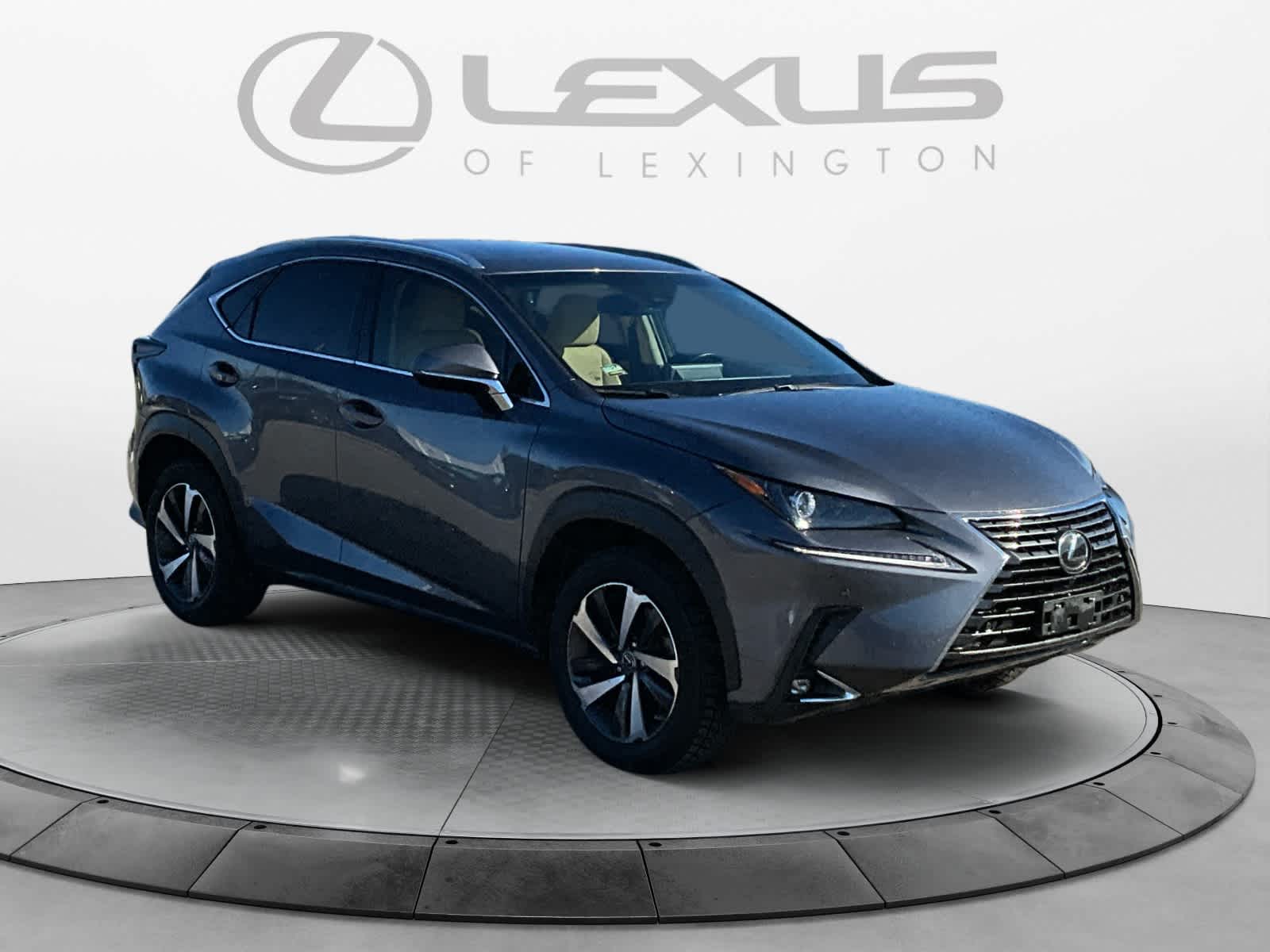 2019 Lexus NX  7