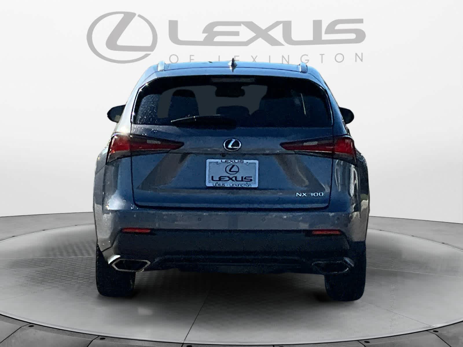 2019 Lexus NX  4