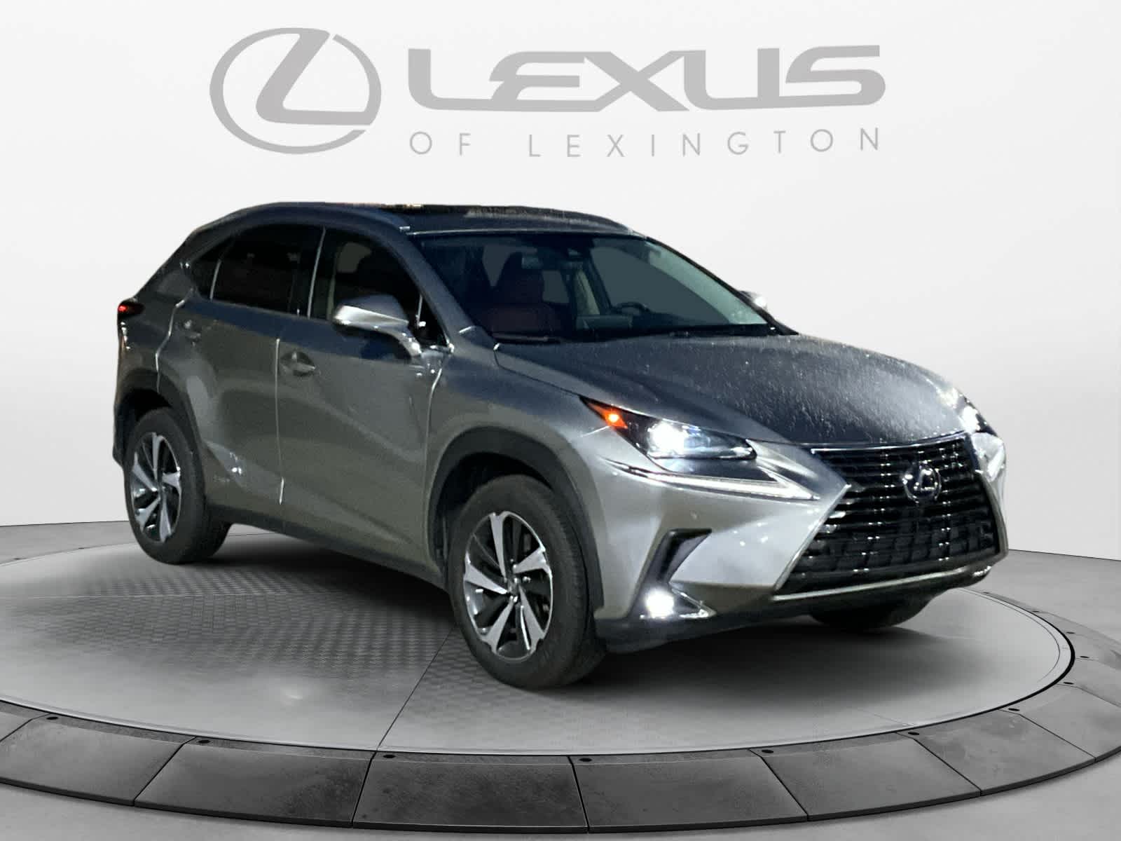 2021 Lexus NX  7