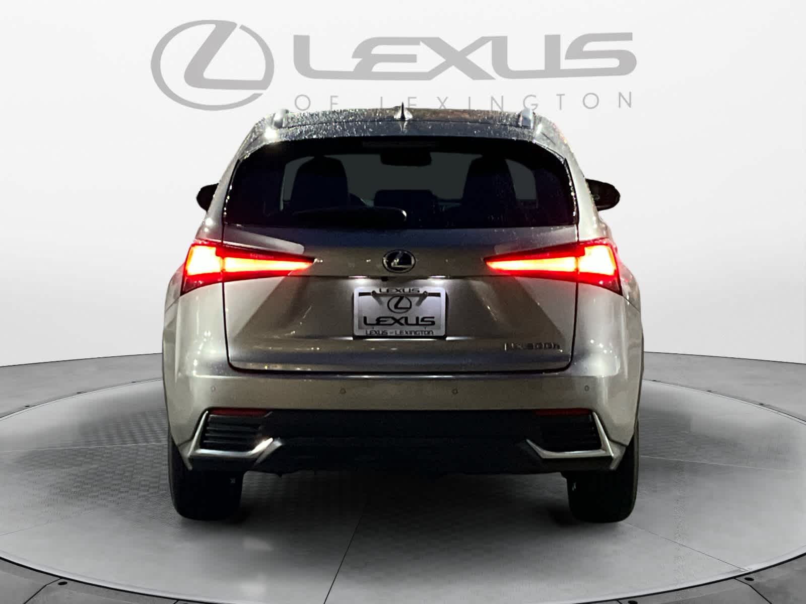 2021 Lexus NX  4