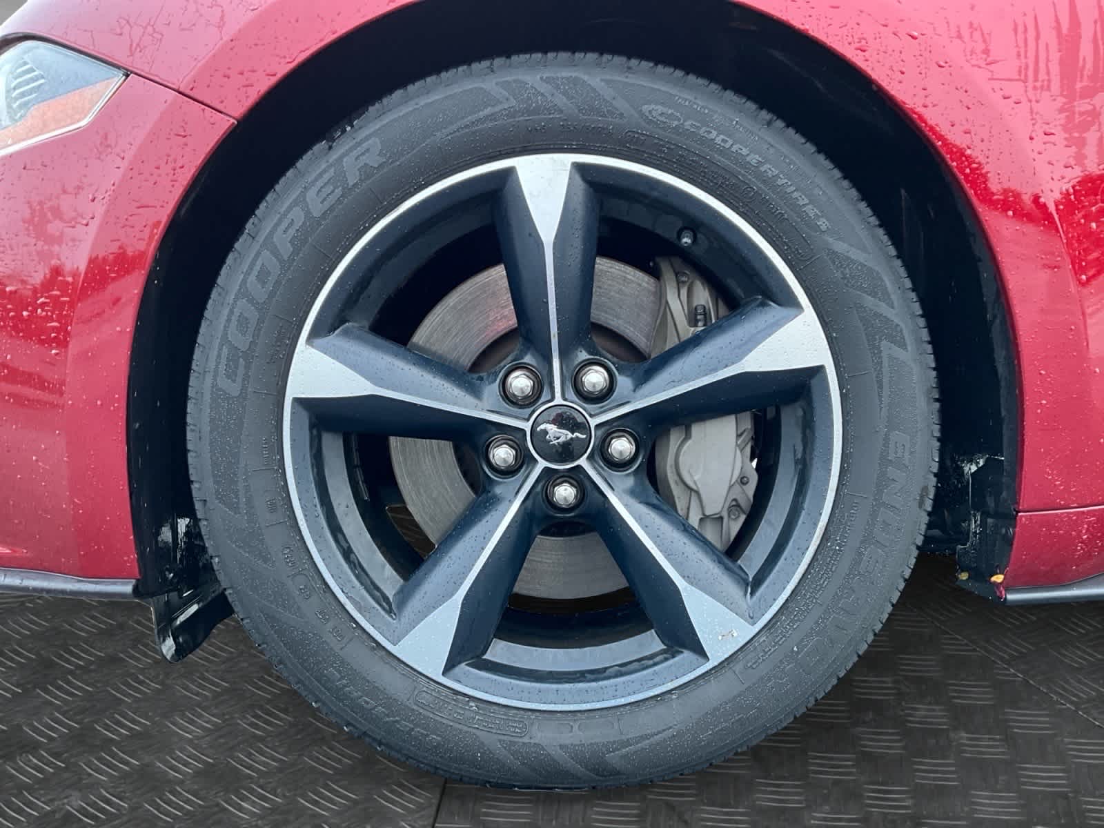 Used 2019 Ford Mustang Coupe