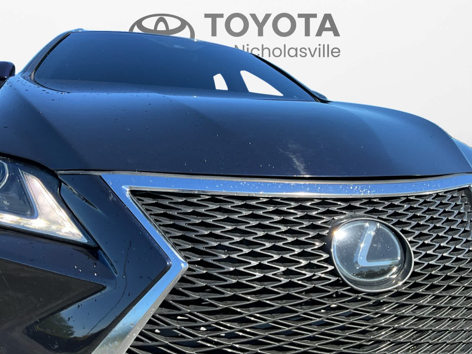2019 Lexus RX 350 F SPORT - Photo 10