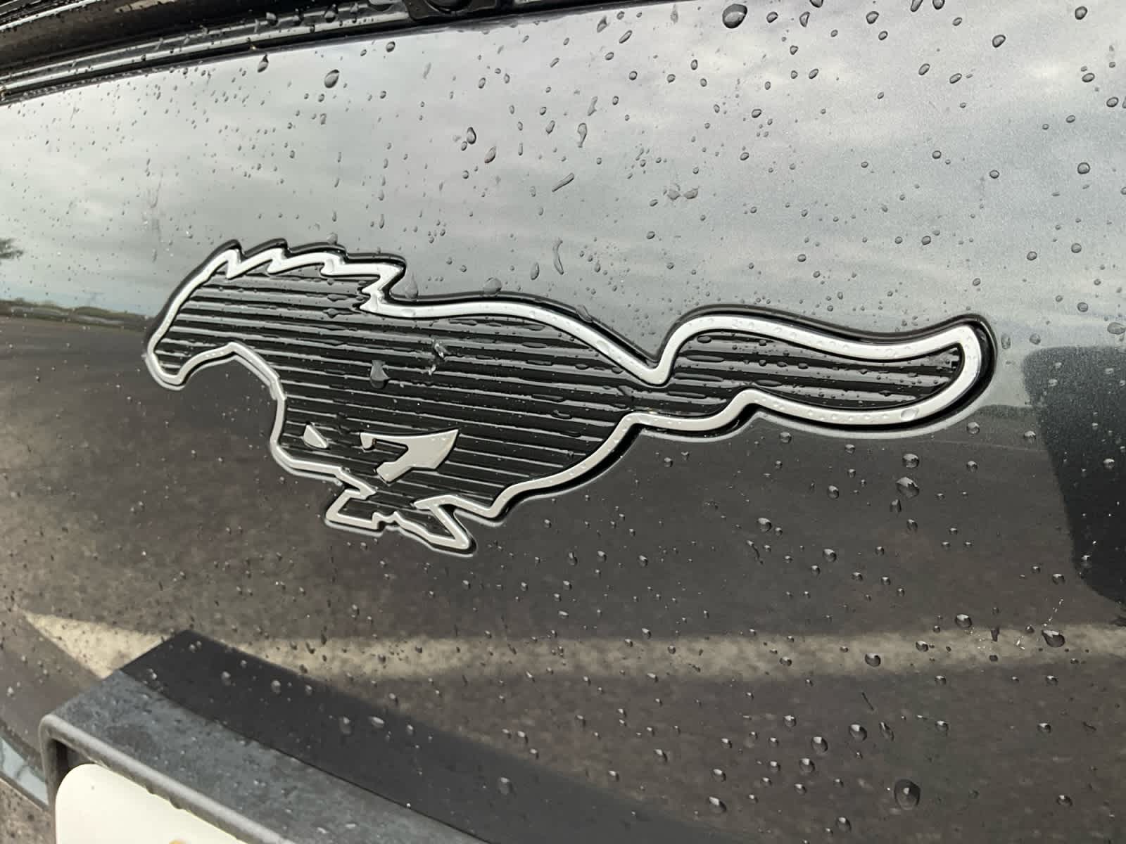 Used 2021 Ford Mustang Mach-E SUV