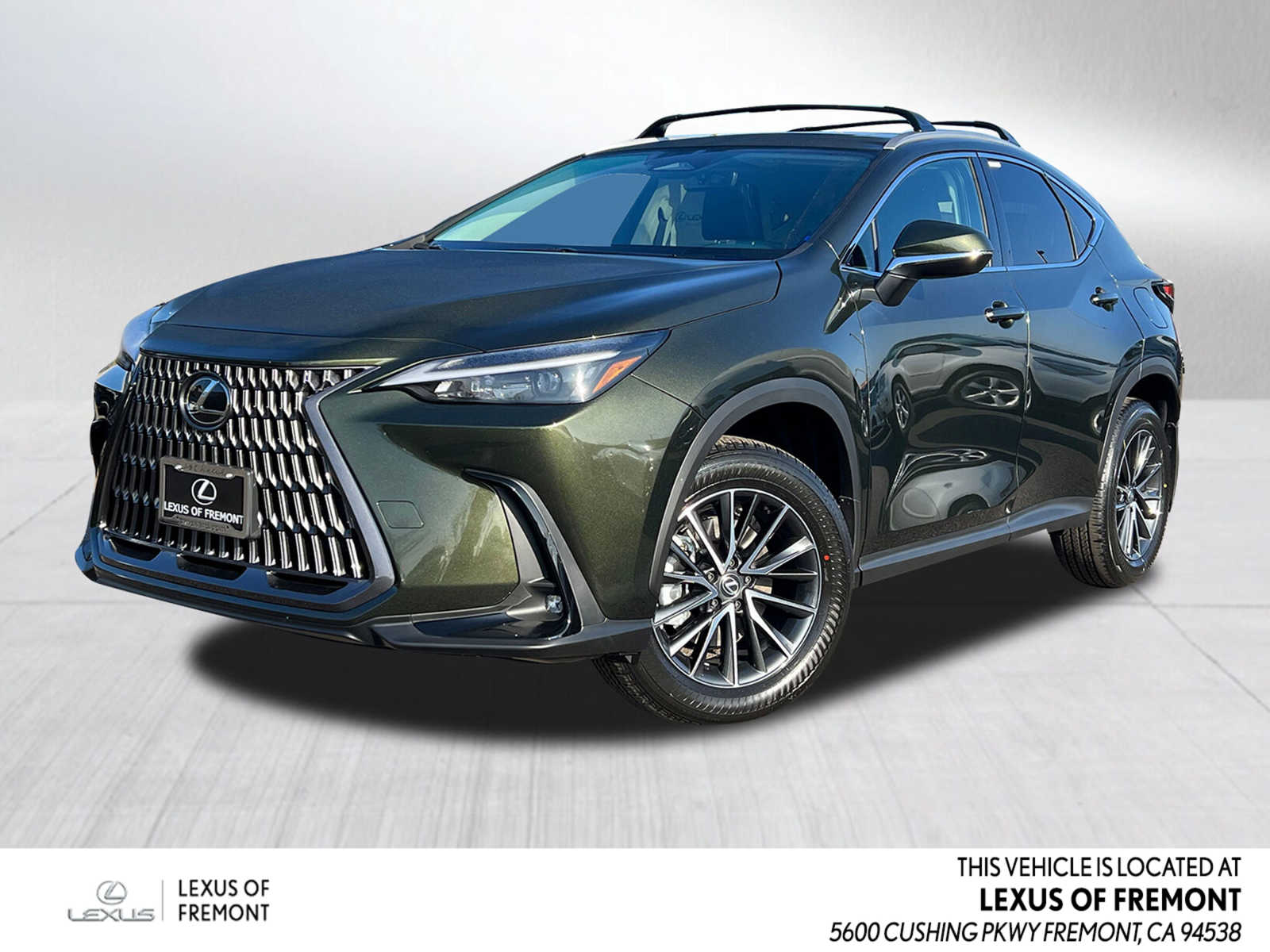 New 2024 Lexus NX F SPORT Handling Sport Utility in #C046858