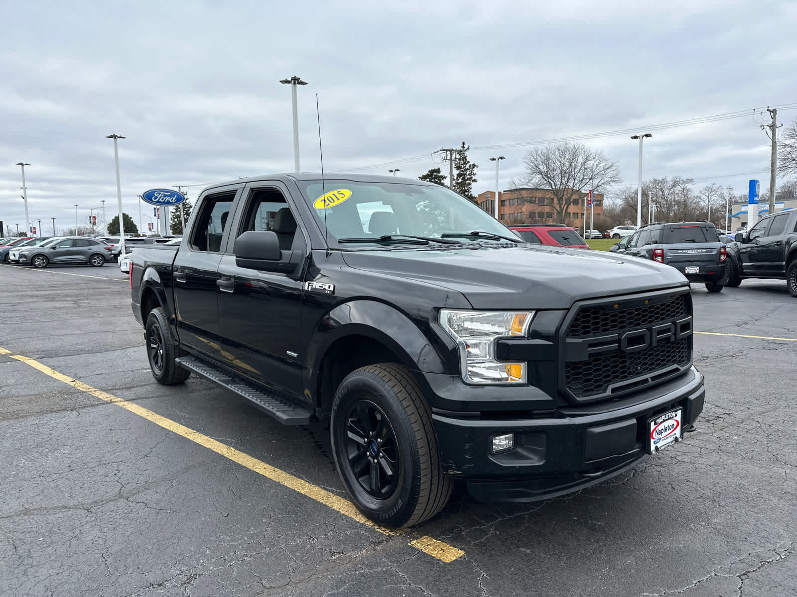 2015 Ford F-150 XL 10