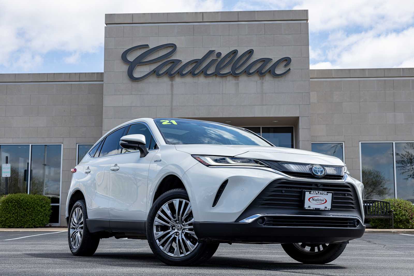 White (Blizzard Pearl) 2021 Toyota Venza Limited AWD SUV / Crossover All-Wheel Drive Continuously Variable Transmission