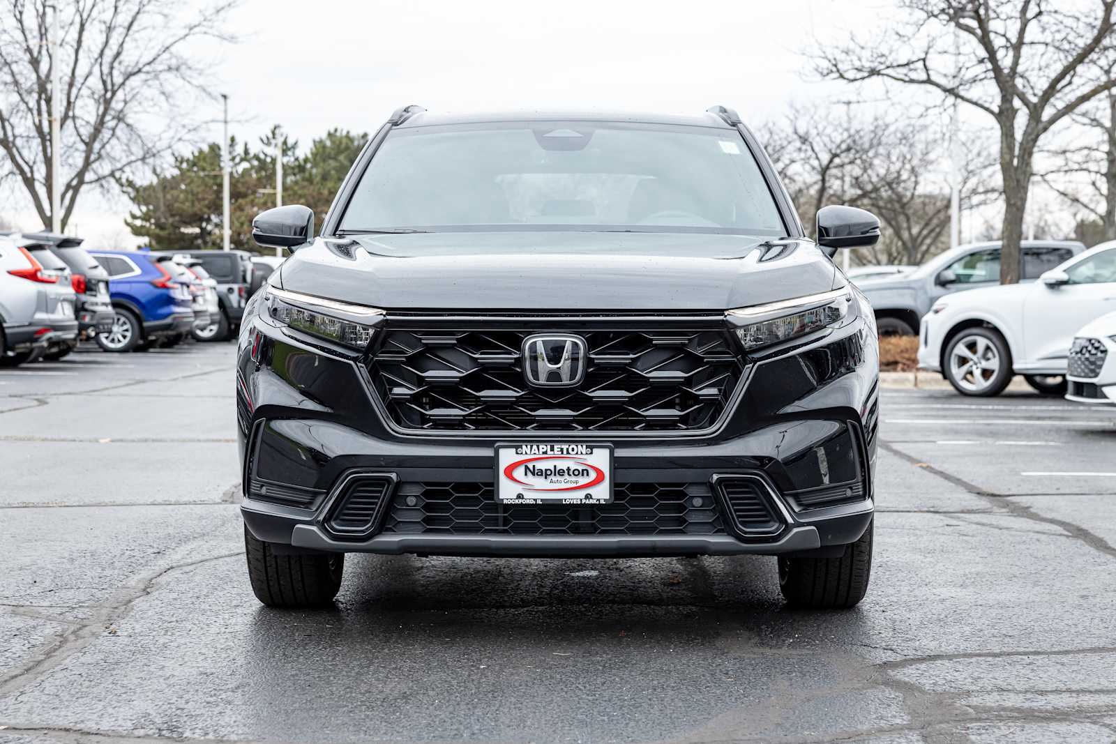 View vehicle photo 2