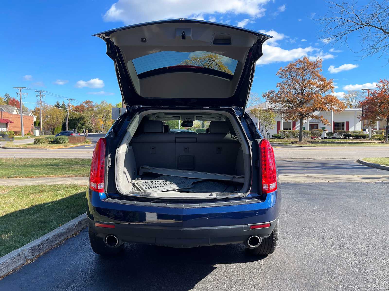 2010 Cadillac SRX Luxury Collection 9