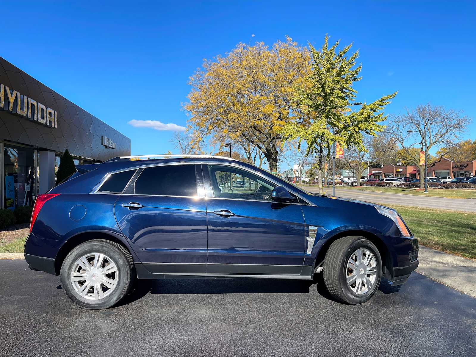 2010 Cadillac SRX Luxury Collection 8