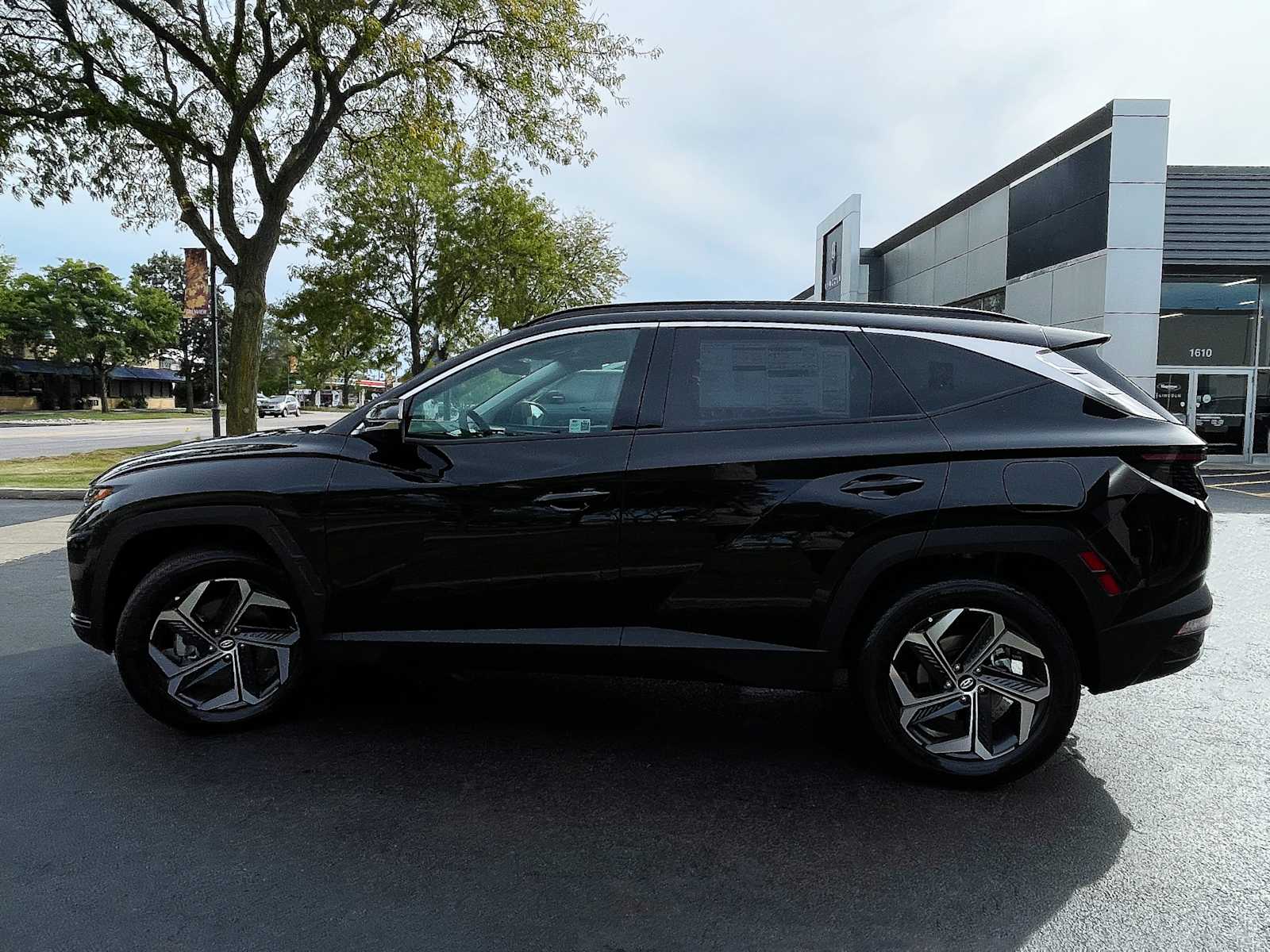 2024 Hyundai Tucson Hybrid Limited 5