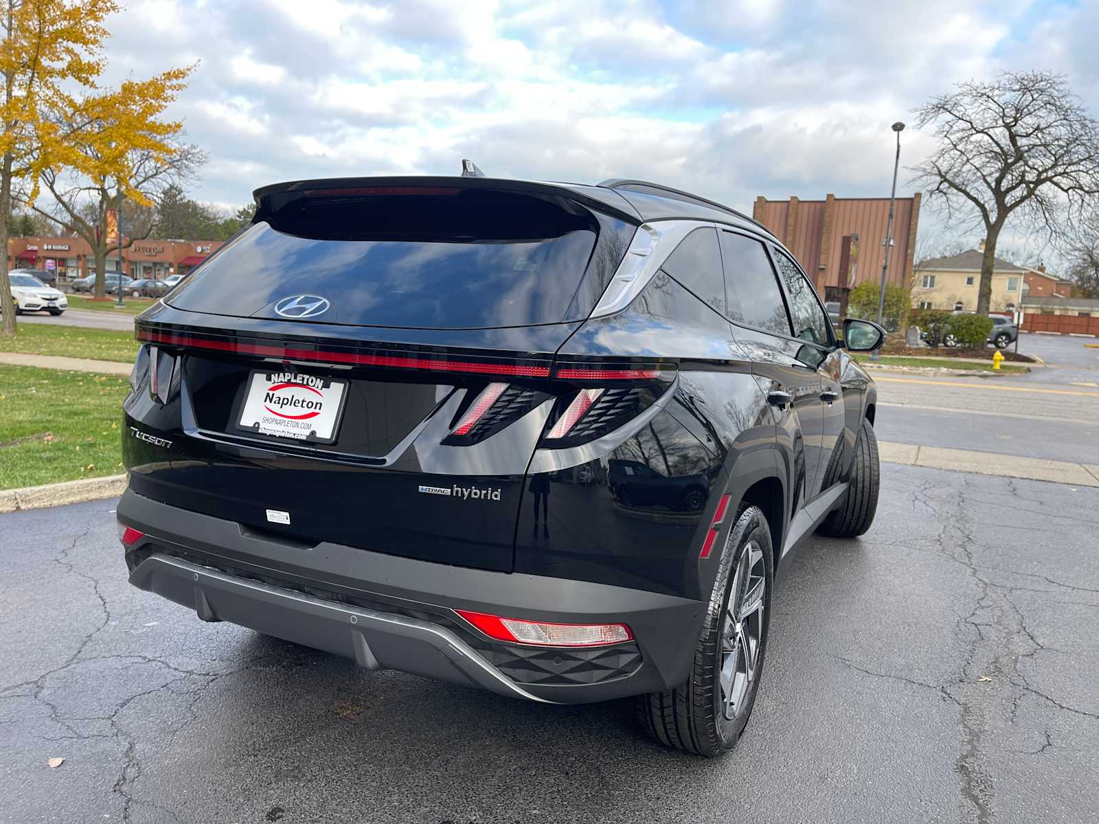 2024 Hyundai Tucson Hybrid Limited 6