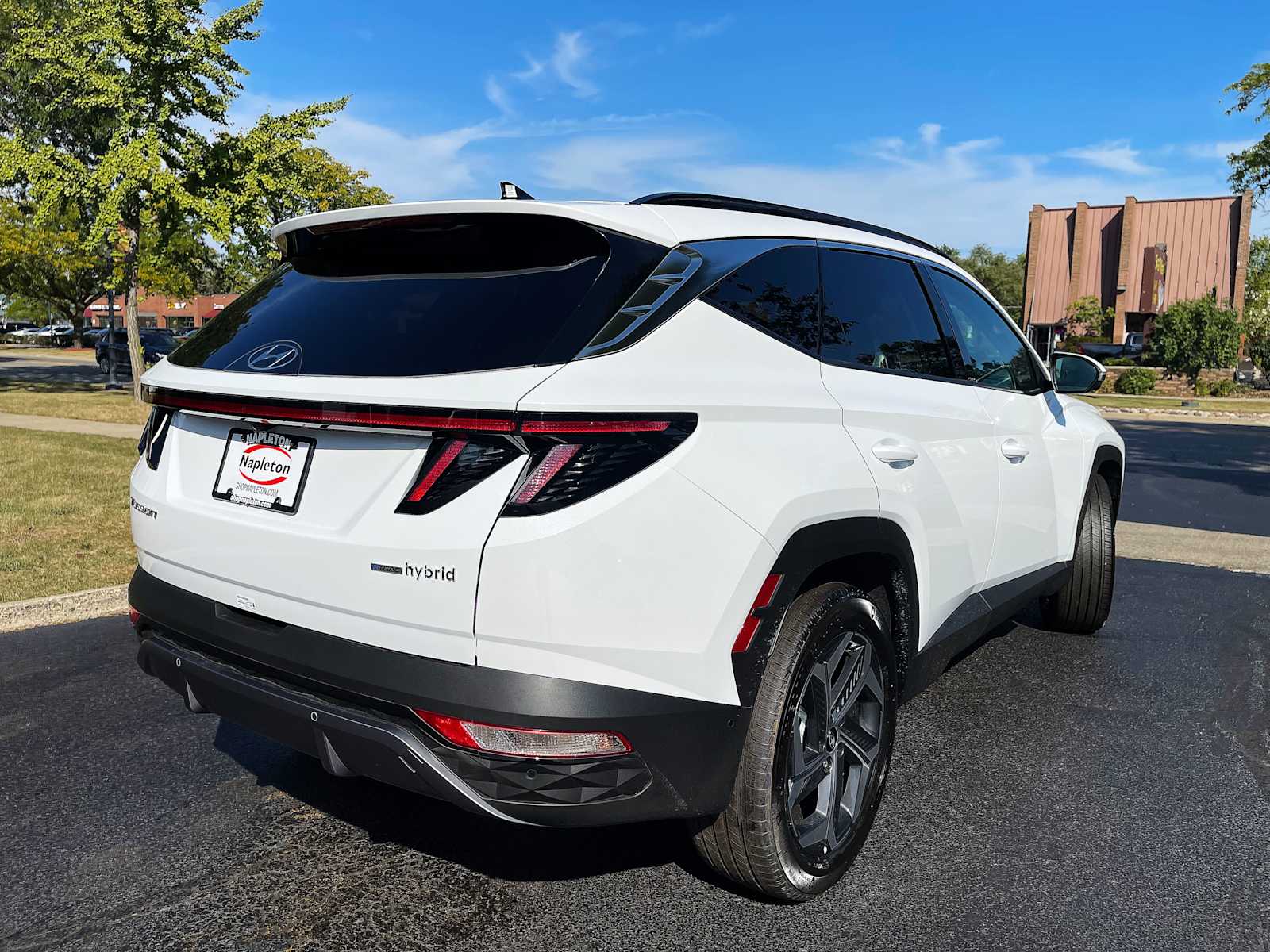 2024 Hyundai Tucson Hybrid Limited 9