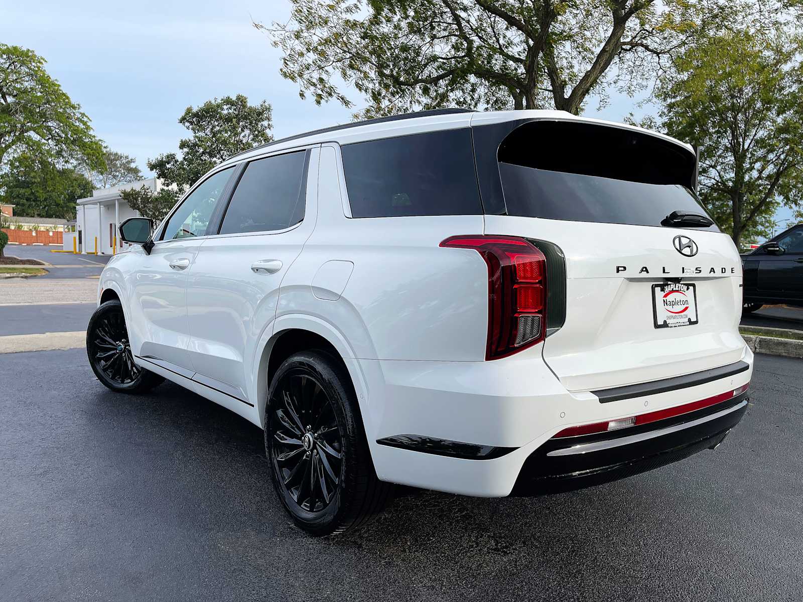 2025 Hyundai Palisade Calligraphy Night Edition 6