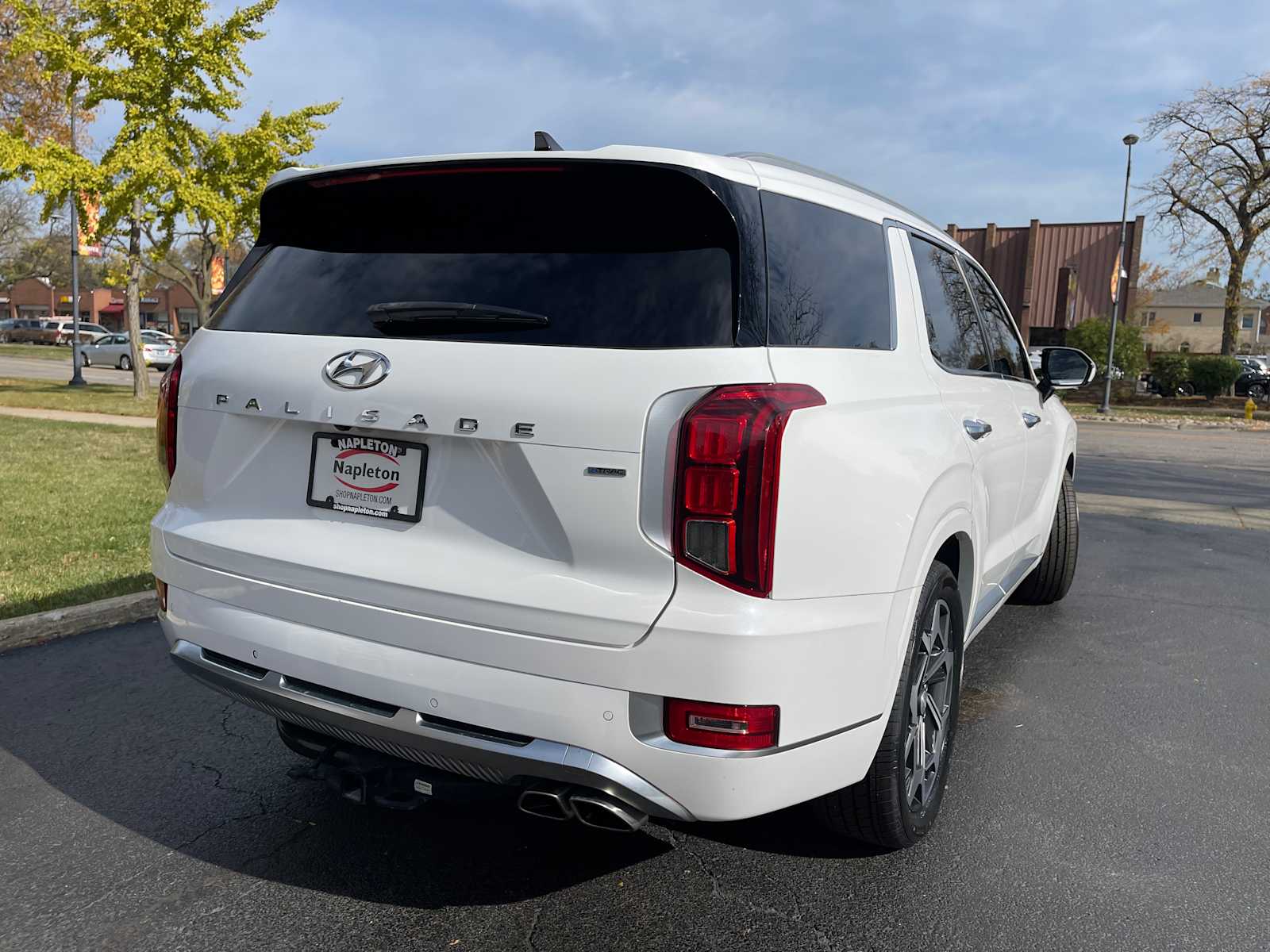 2021 Hyundai Palisade Calligraphy 6