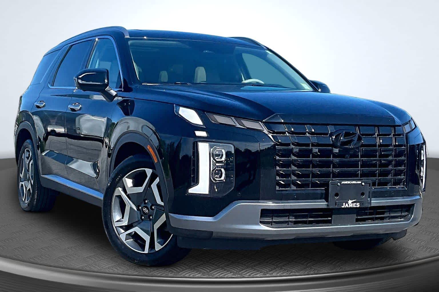 2025 Hyundai Palisade Limited - 11