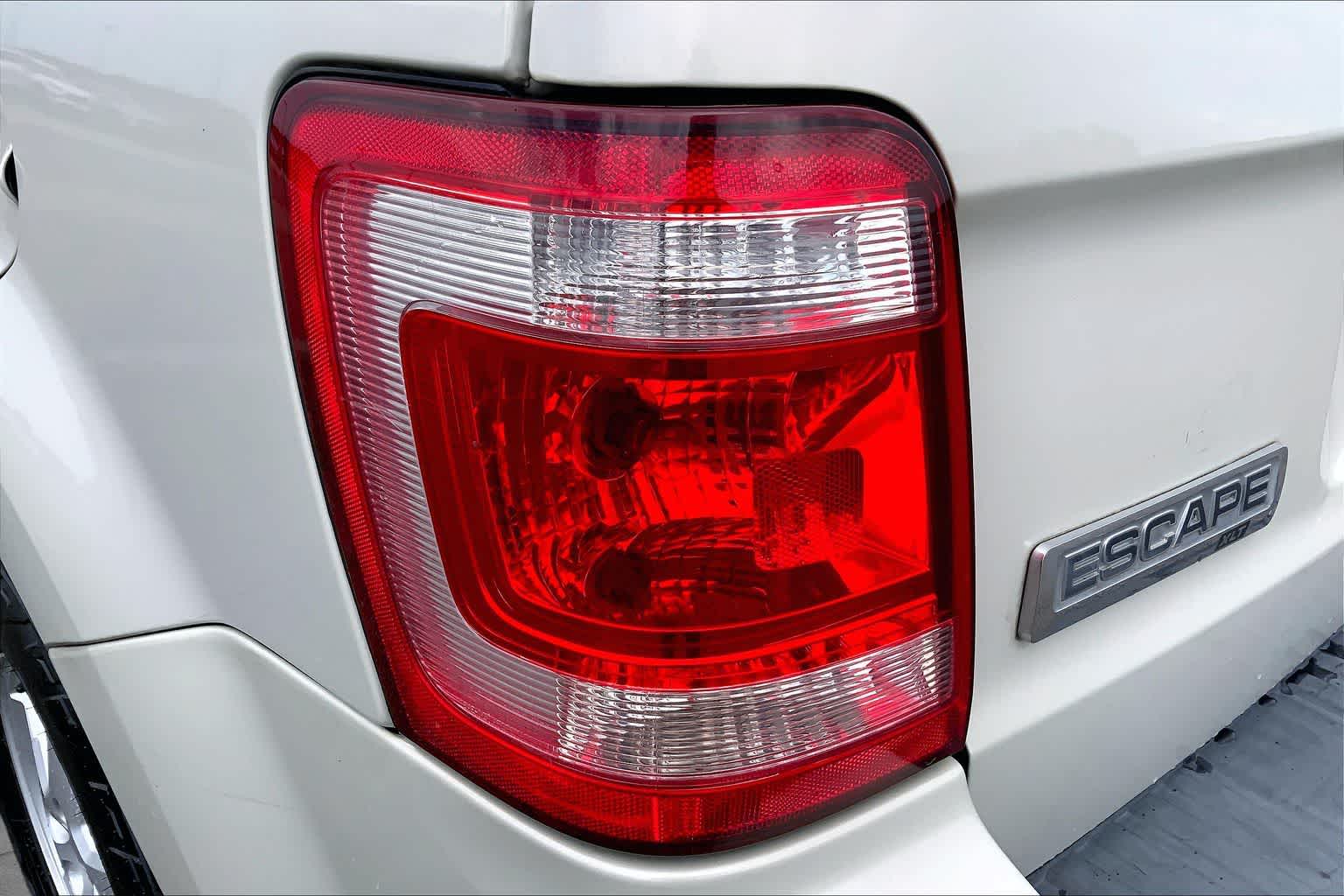 2008 Ford Escape XLT Light Sage Metallic at Beck & Masten Kia