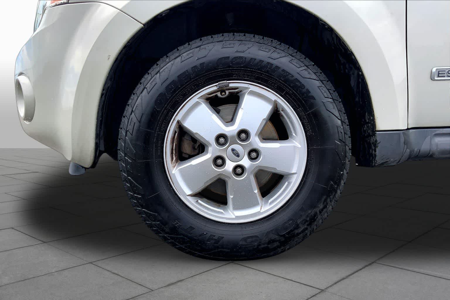2008 Ford Escape XLT Light Sage Metallic at Beck & Masten Kia