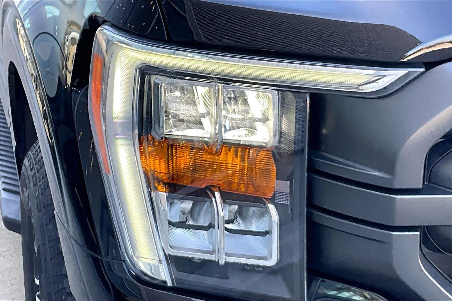 2023 Ford F-150 XLT Agate Black Metallic at Honda of Clear Lake