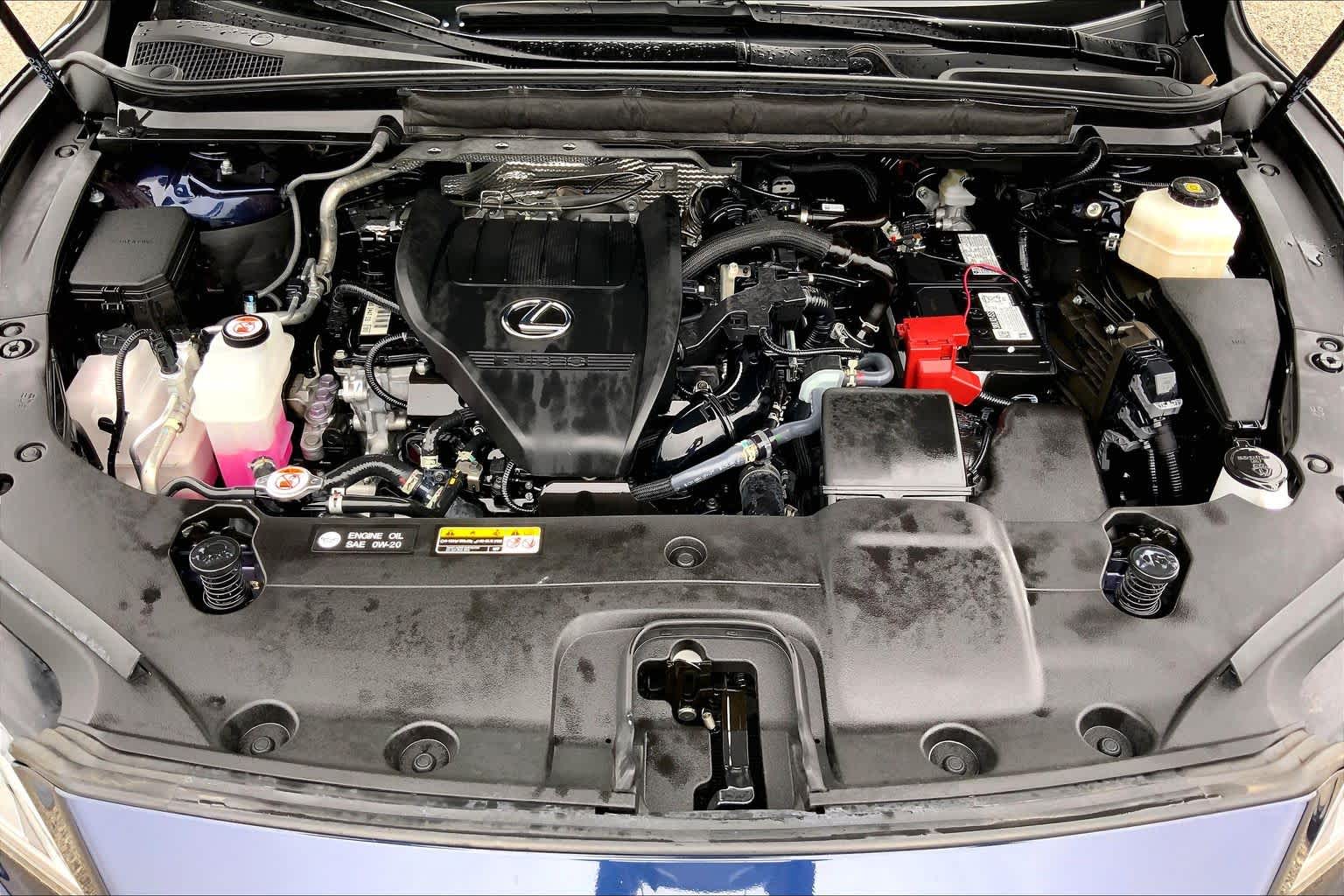 2025 Lexus RX 350 photo 31 of 36