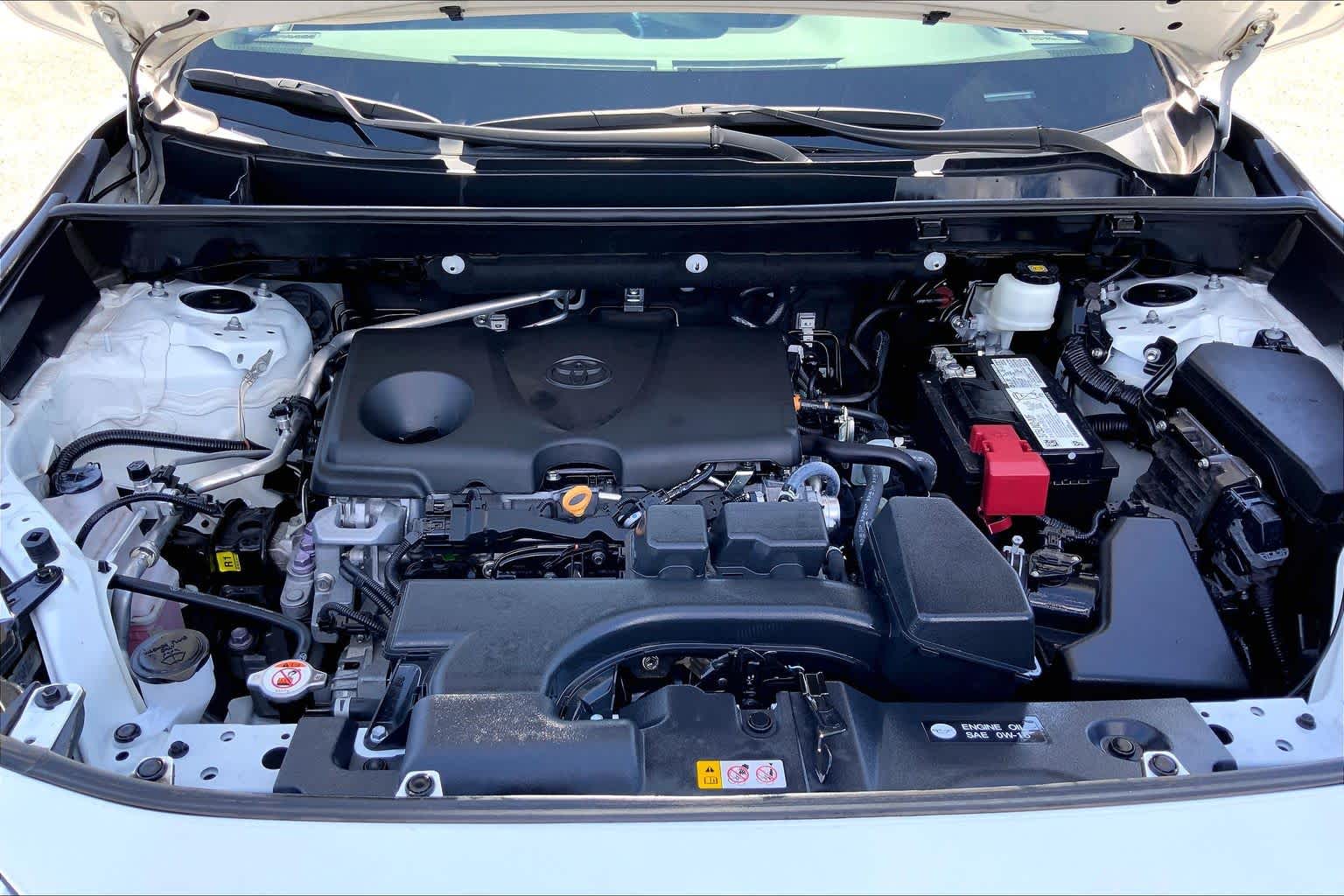 2023 Toyota RAV4 LE Ice Cap at Sterling McCall Nissan