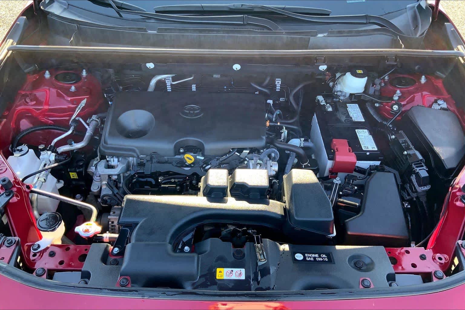 2025 Toyota RAV4 XLE Ruby Flare Pearl at Lexus Southwest Houston