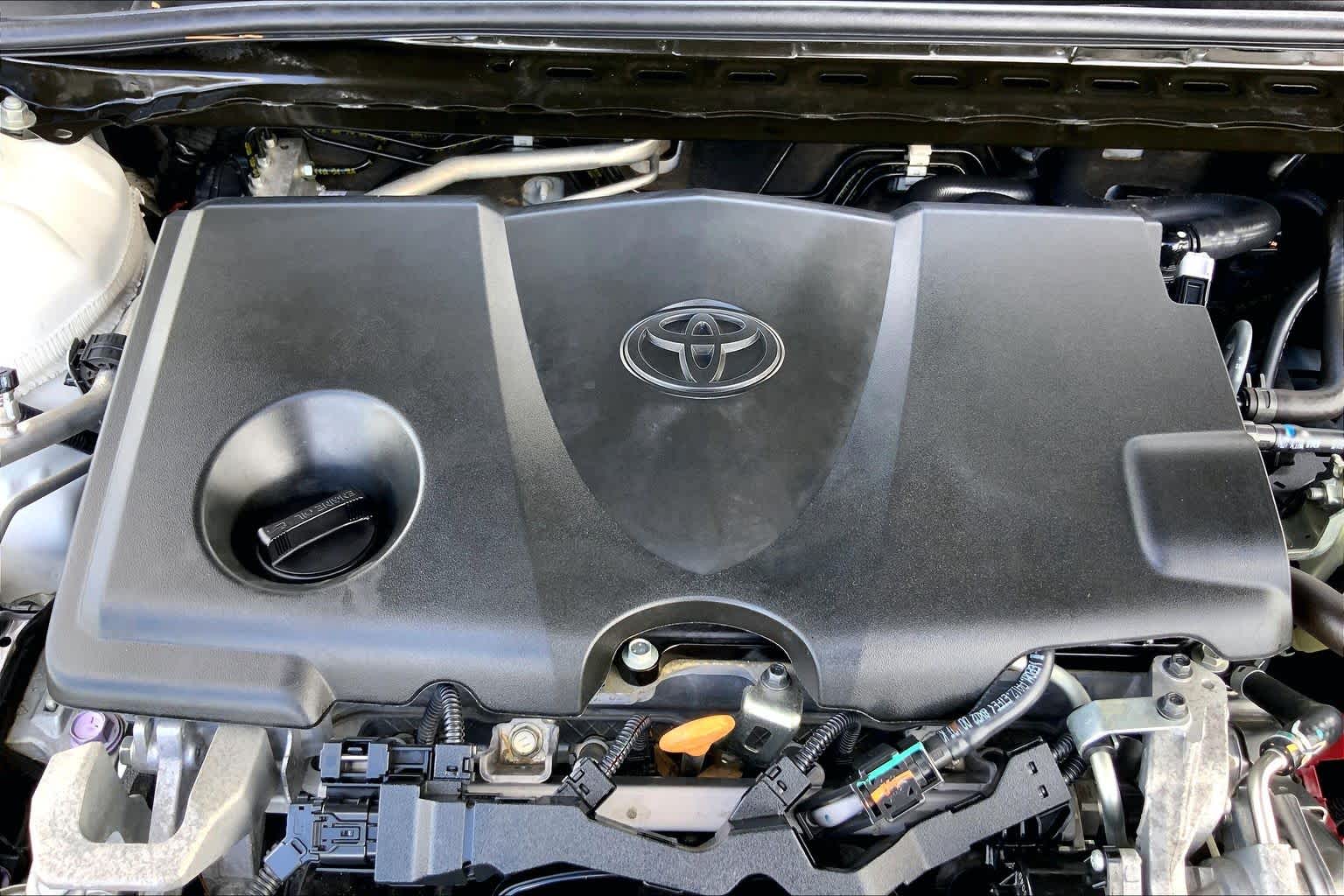 2019 Toyota Camry SE Super White at Beck & Masten Kia