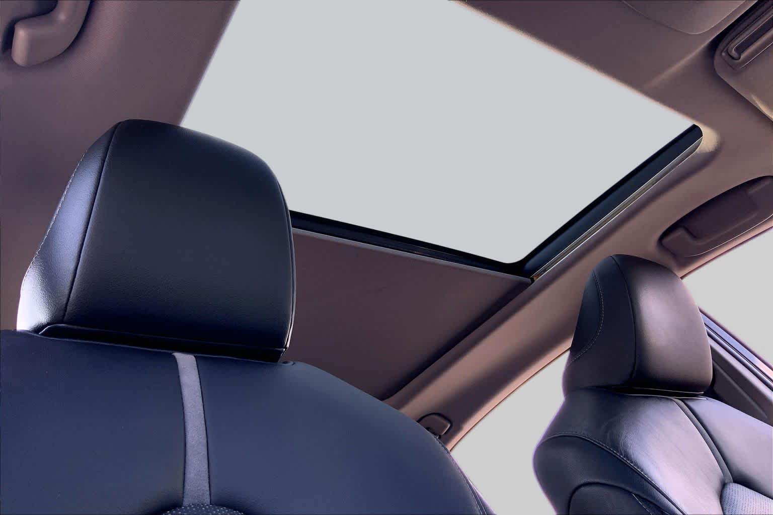 2019 Toyota Camry XSE Midnight Black Metallic at Group 1 Toyota Southwest