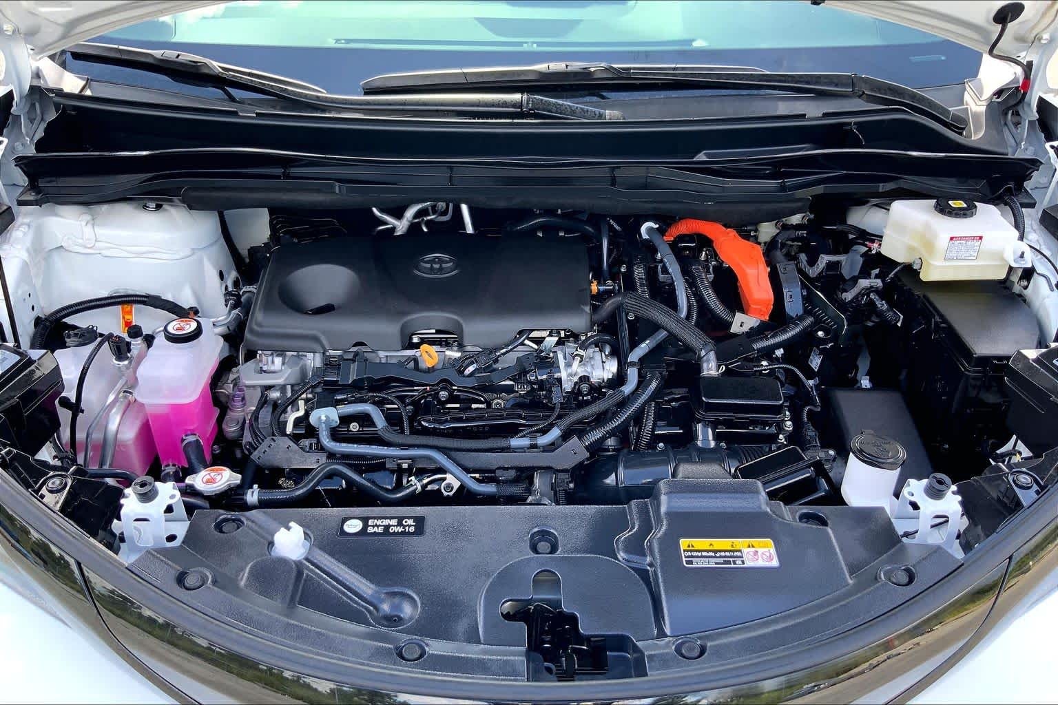 2026 Toyota Sienna Woodland Edition Ice Cap at Group 1 Toyota Southwest