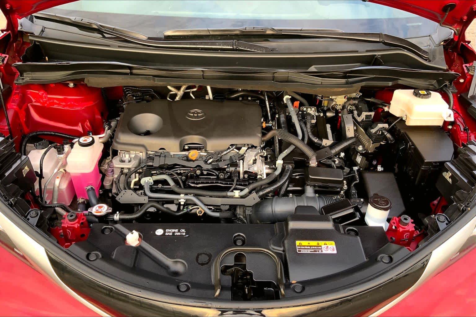 2021 Toyota Sienna Platinum Ruby Flare Pearl at Westside Kia