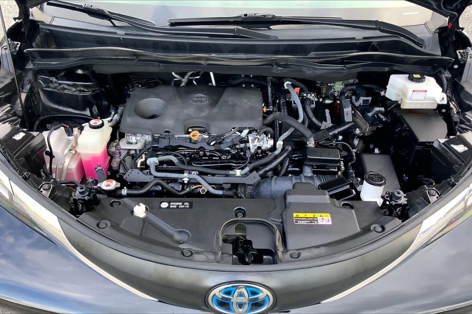 2022 Toyota Sienna LE Midnight Black Metallic at Ron Craft Chevrolet Cadillac