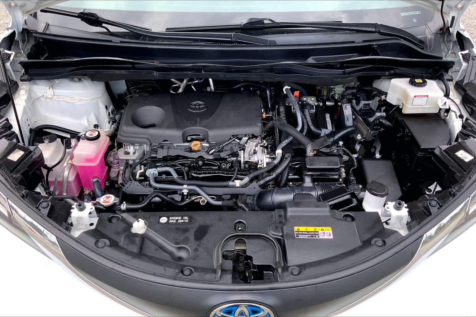 2021 Toyota Sienna XLE Blizzard Pearl at Group 1 Toyota Southwest