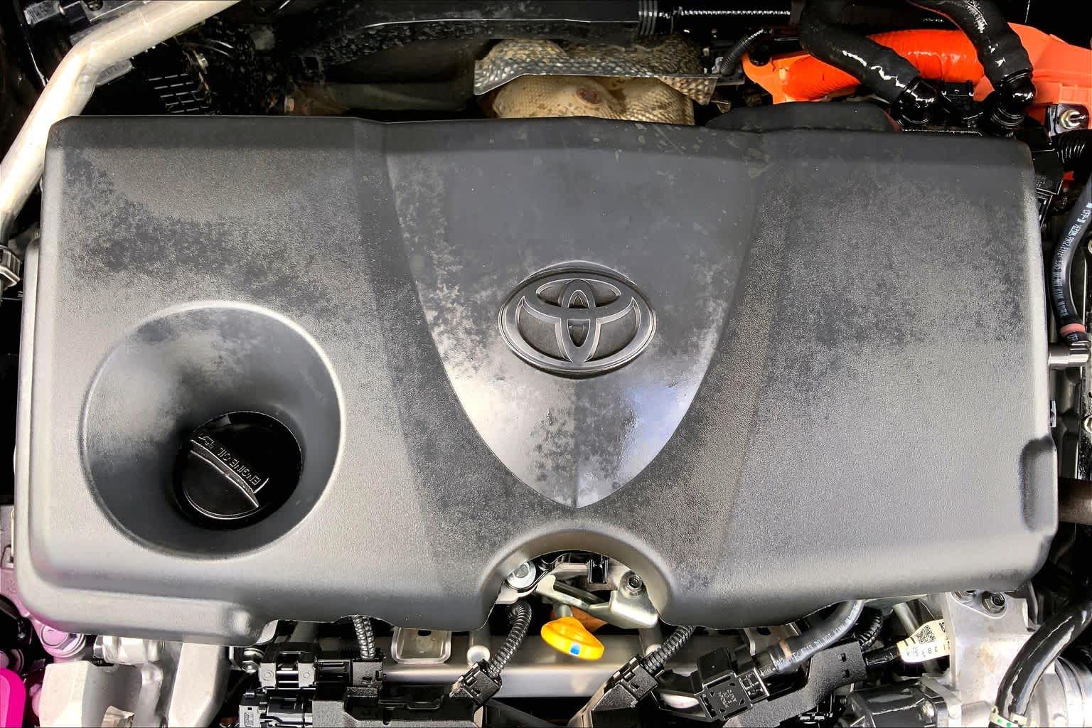2025 Toyota RAV4 Hybrid LE Magnetic Gray Metallic at Group 1 Toyota Southwest