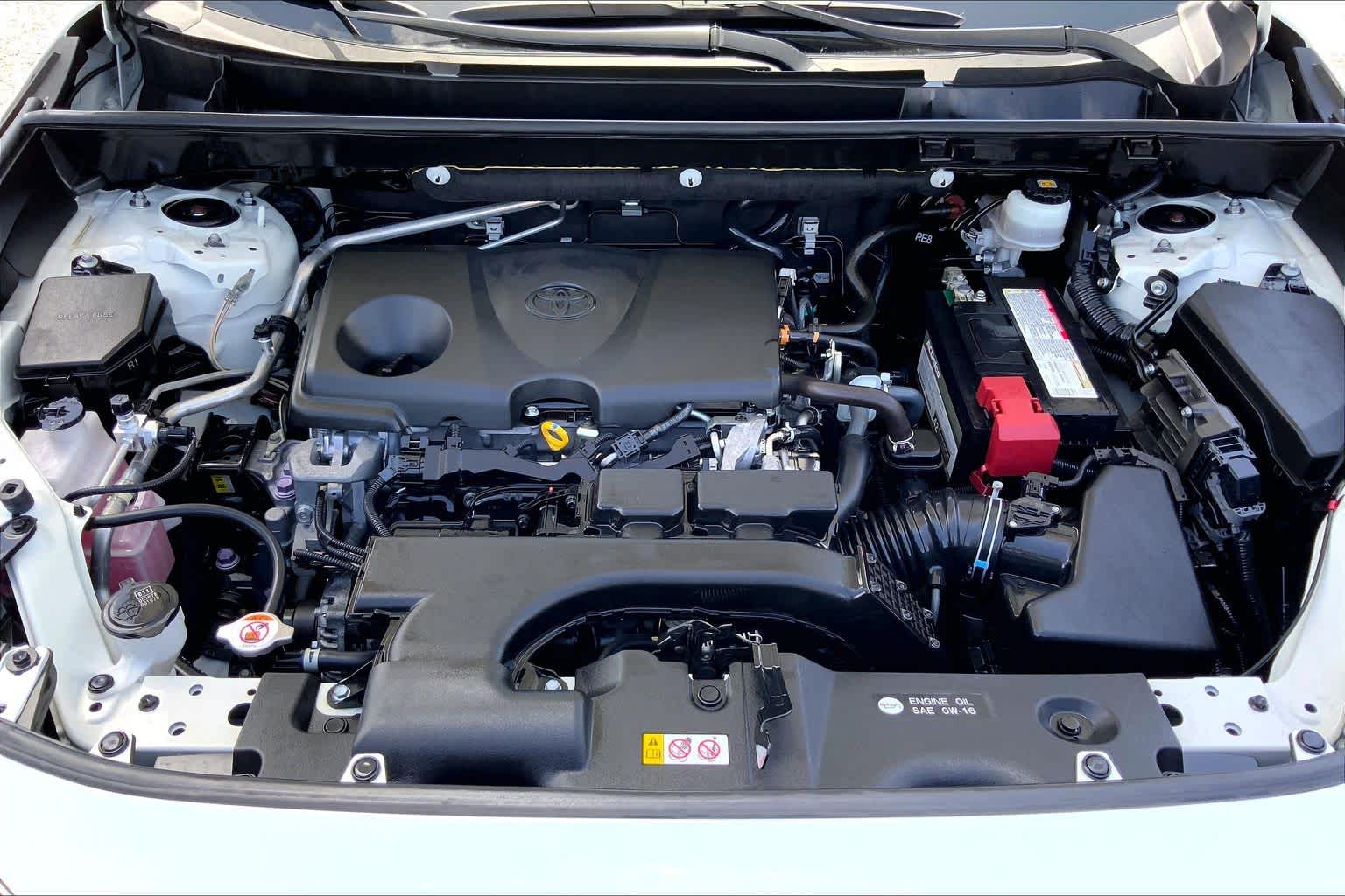 2019 Toyota RAV4 Limited Blizzard Pearl at AutoNation USA Katy