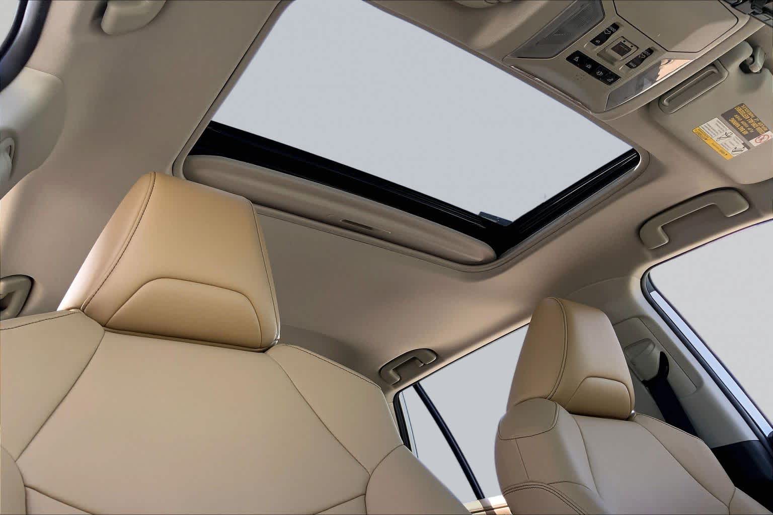 2019 Toyota RAV4 Limited Blizzard Pearl at AutoNation USA Katy