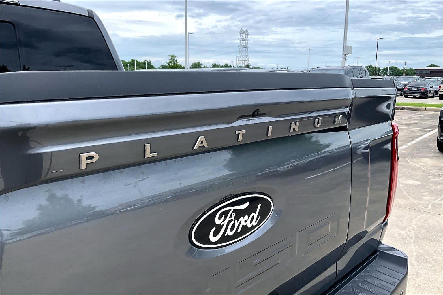 2024 Ford F-150 Platinum - 8