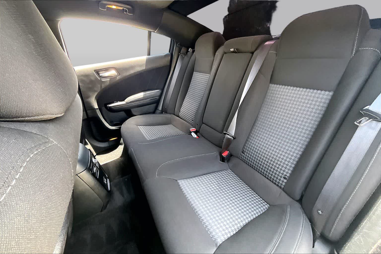 2023 Dodge Charger GT F8 Green at Tomball Chrysler Dodge Jeep Ram