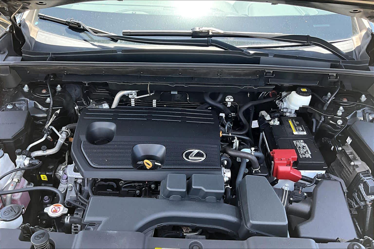 2024 Lexus NX 250  Caviar at Lexus Southwest Houston