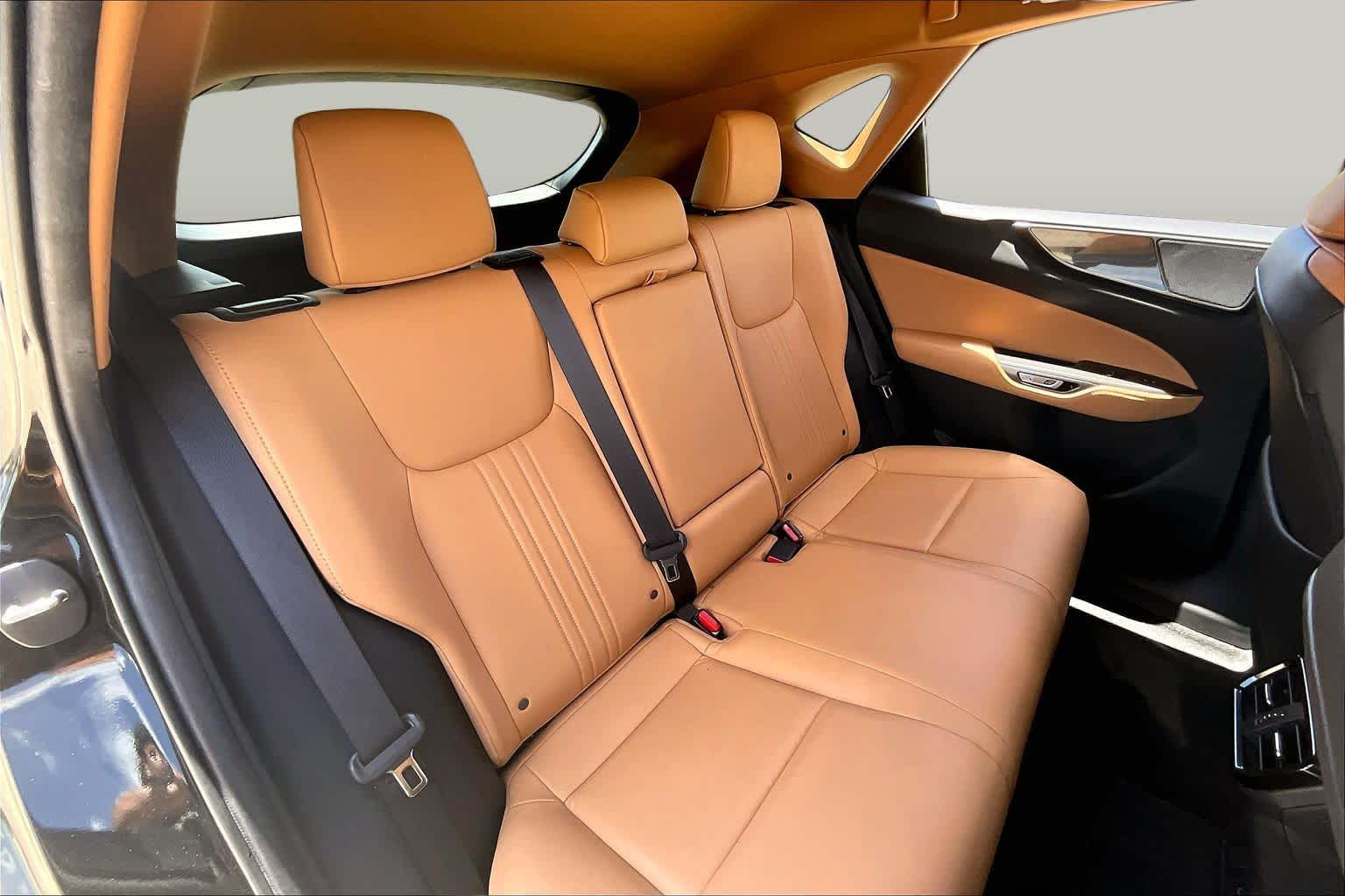 2024 Lexus NX 250  Caviar at Lexus Southwest Houston