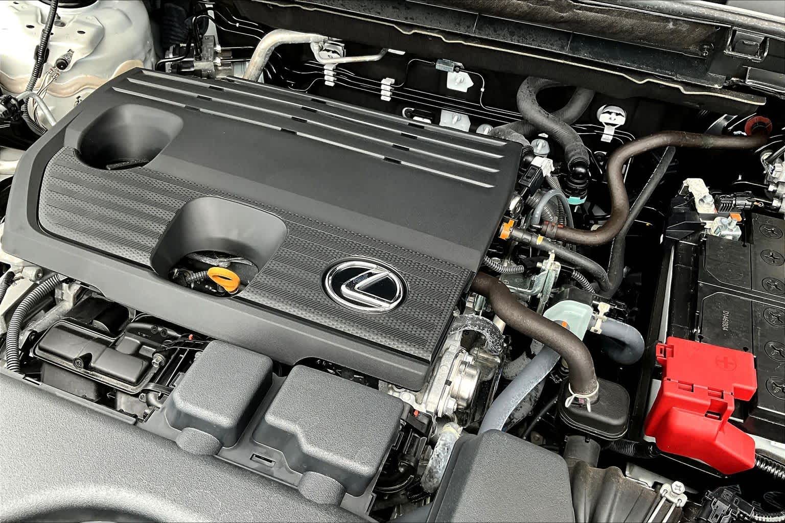 2025 Lexus NX 250  Eminent White Pearl at Lexus of Clear Lake