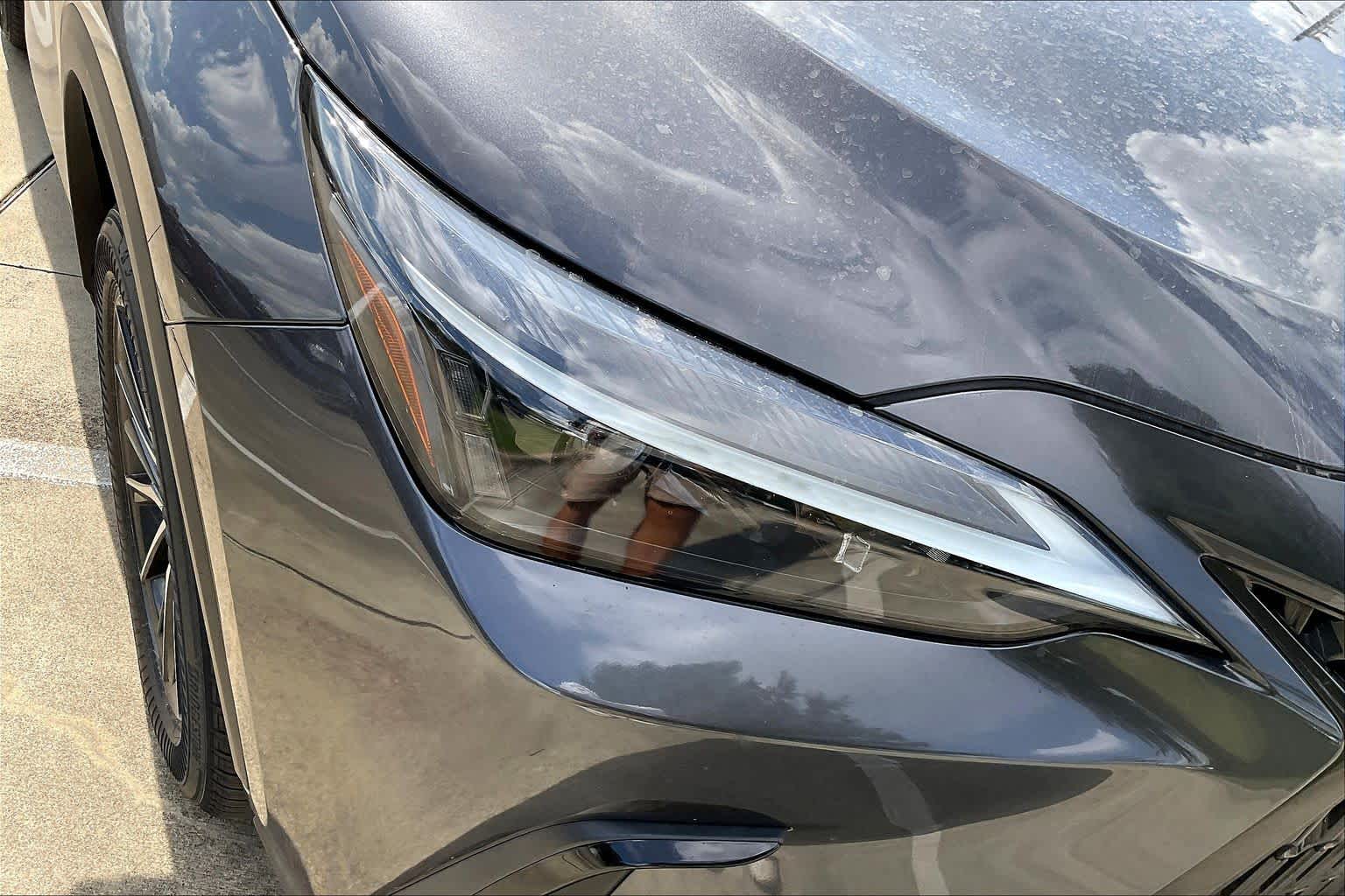 2022 Lexus NX  Cloudburst Gray at Sterling McCall Lexus