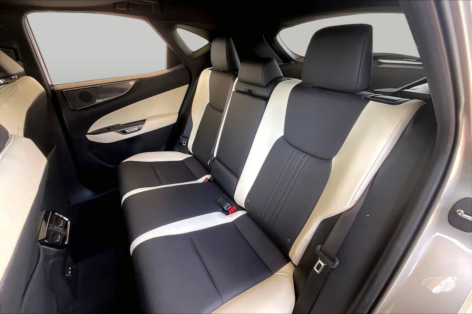 2024 Lexus NX 250  Atomic Silver at Lexus Southwest Houston