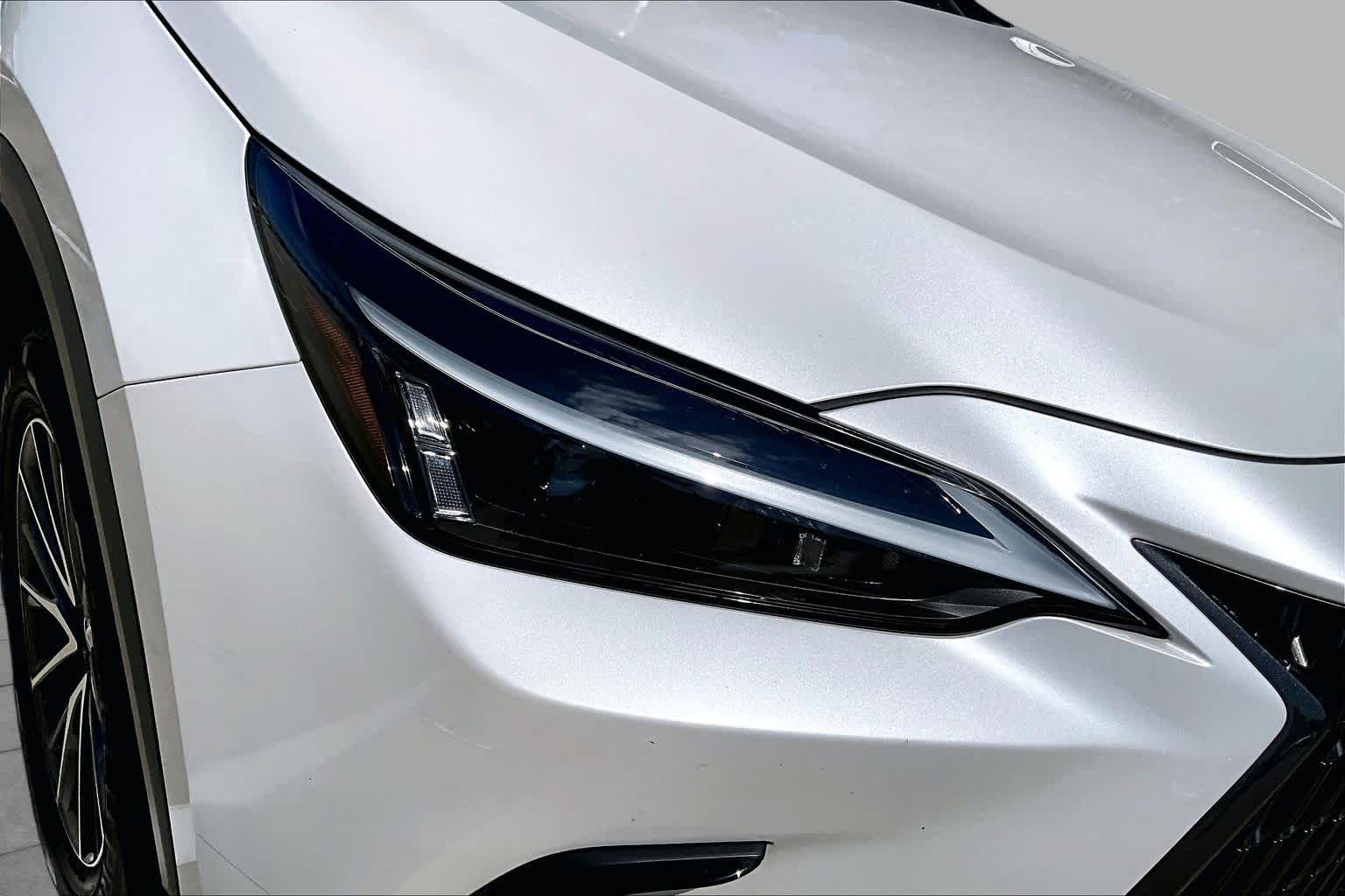 2024 Lexus NX 250 photo 25 of 34