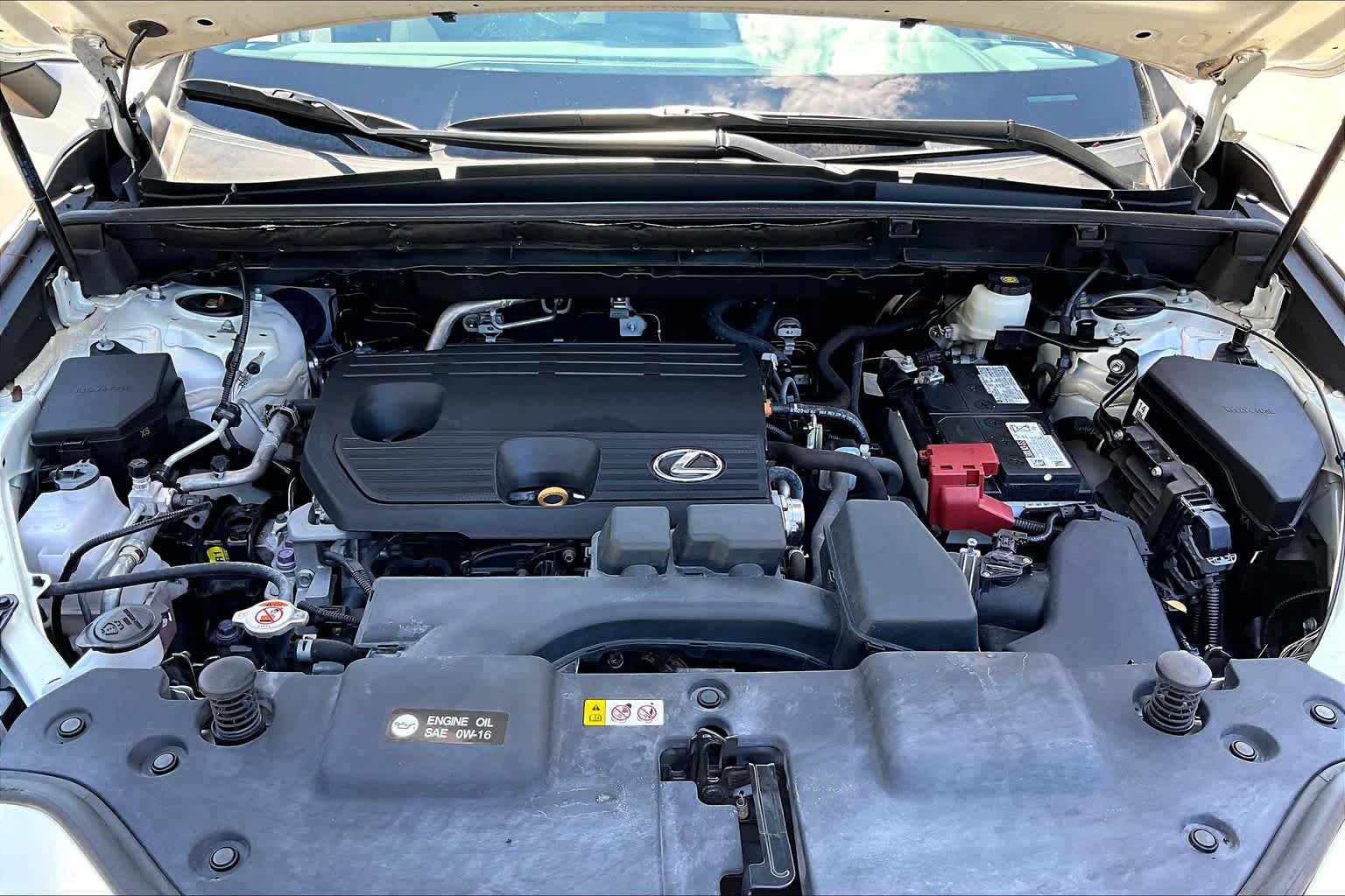 2024 Lexus NX 250 photo 29 of 34