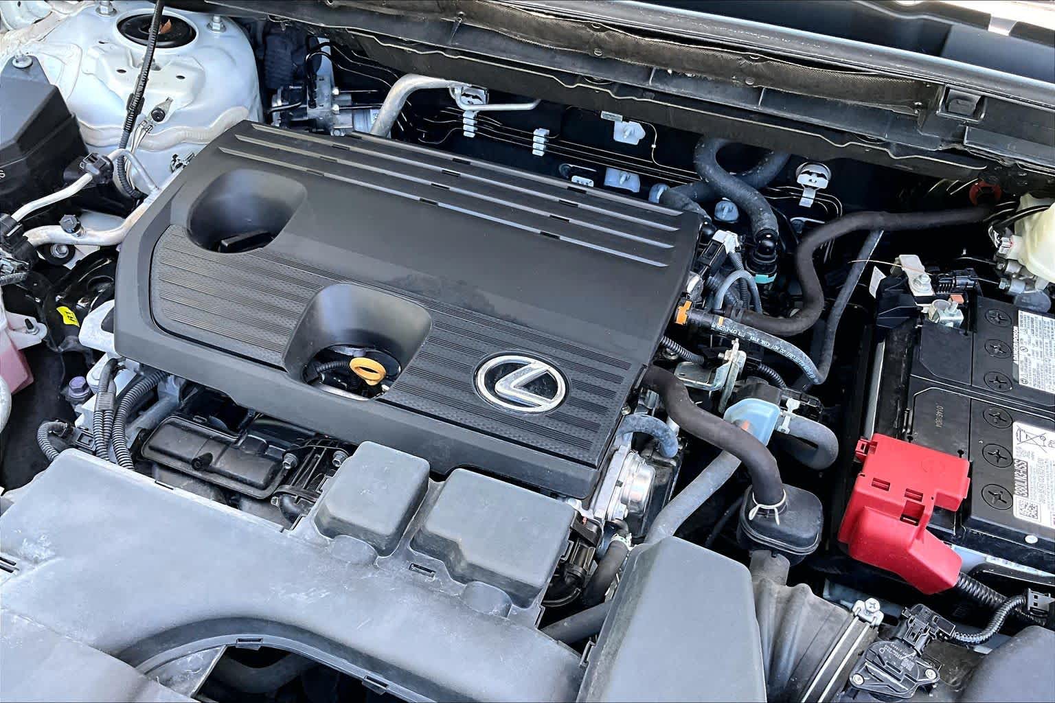 2024 Lexus NX 250 photo 30 of 34