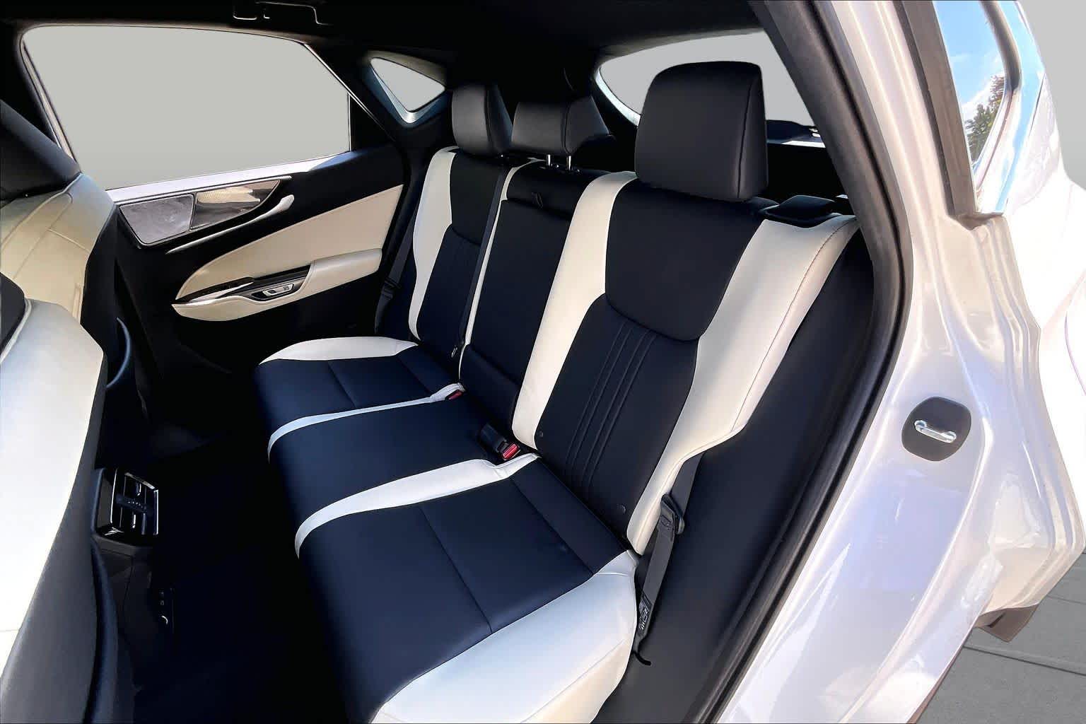 2024 Lexus NX 250 photo 18 of 34