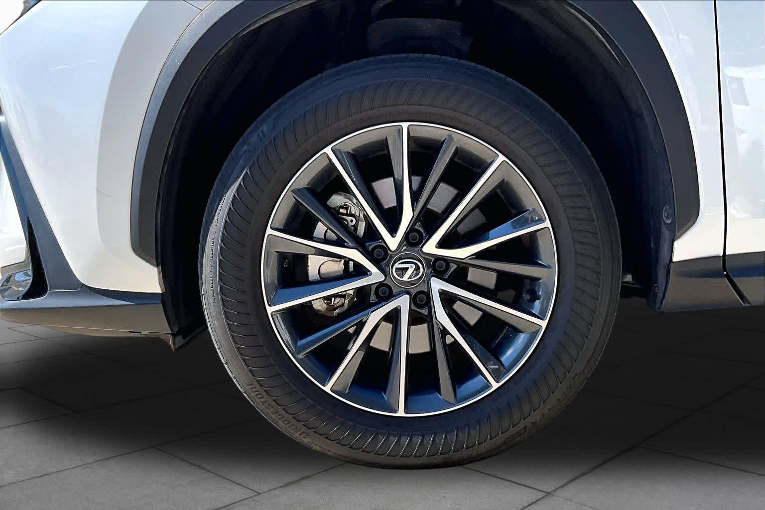 2024 Lexus NX 250 photo 9 of 34